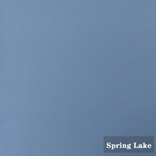 Spring Lake jurly novak